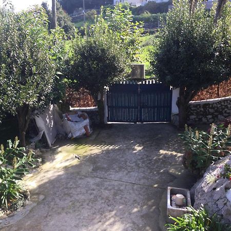 Casa Jardin Rocablanca Llanes Vila Celorio  Exterior foto